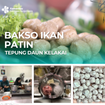 Bakso Ikan Patin Tepung Daun Kelakai 