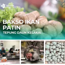 Bakso Ikan Patin Tepung Daun Kelakai 